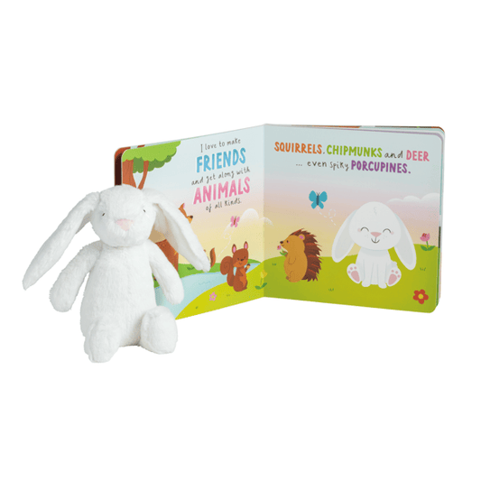 Plush Bunny Book