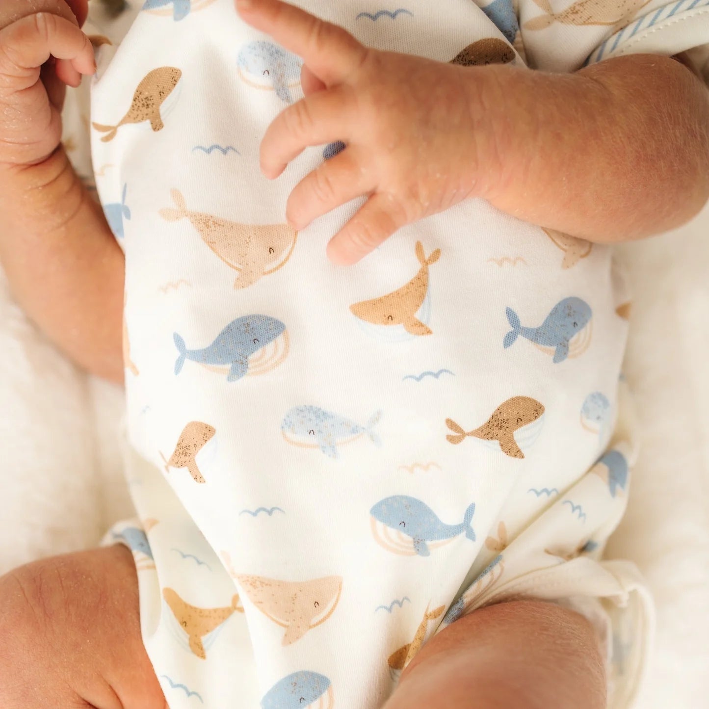 Whale Tales Lap Bodysuit