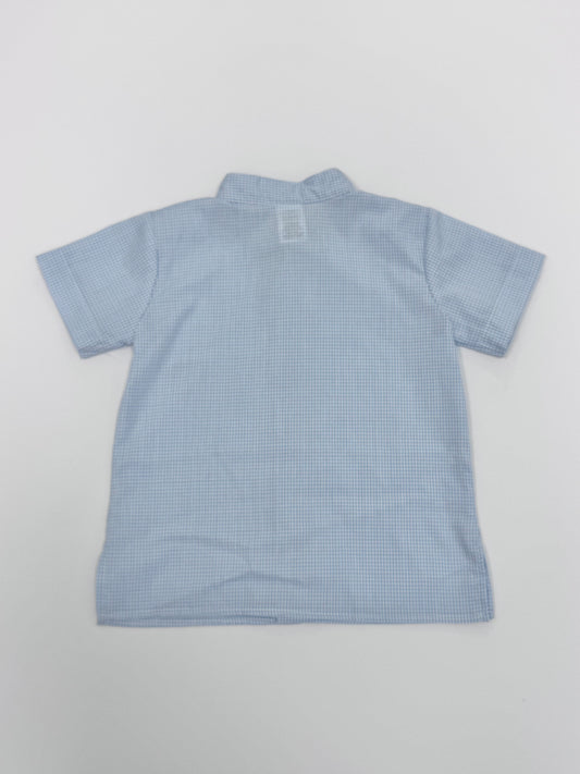 Light Blue Gingham Button Down