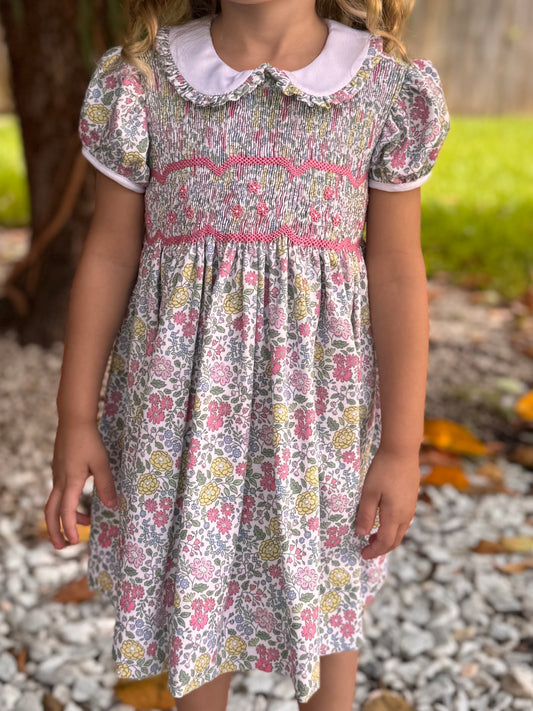 The Chelsea Garden Pink Smocked Dress