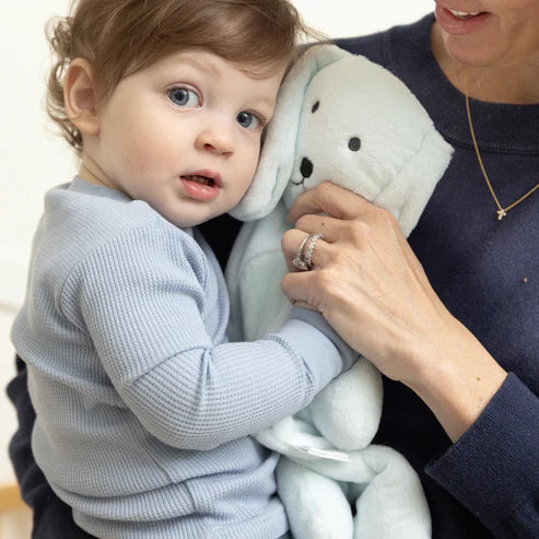 Big Buddy Danny the Dog