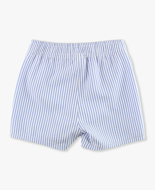 Periwnkle Blue Seersucker Swim Trunks