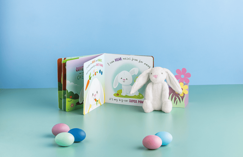 Plush Bunny Book