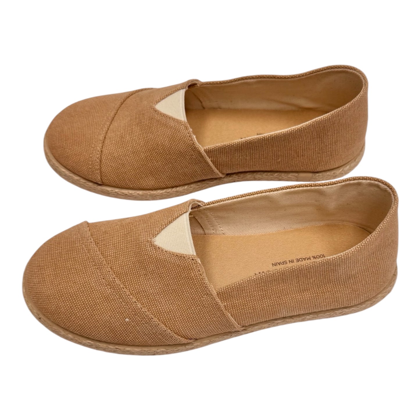 Arena Slip On Canvas Shoe