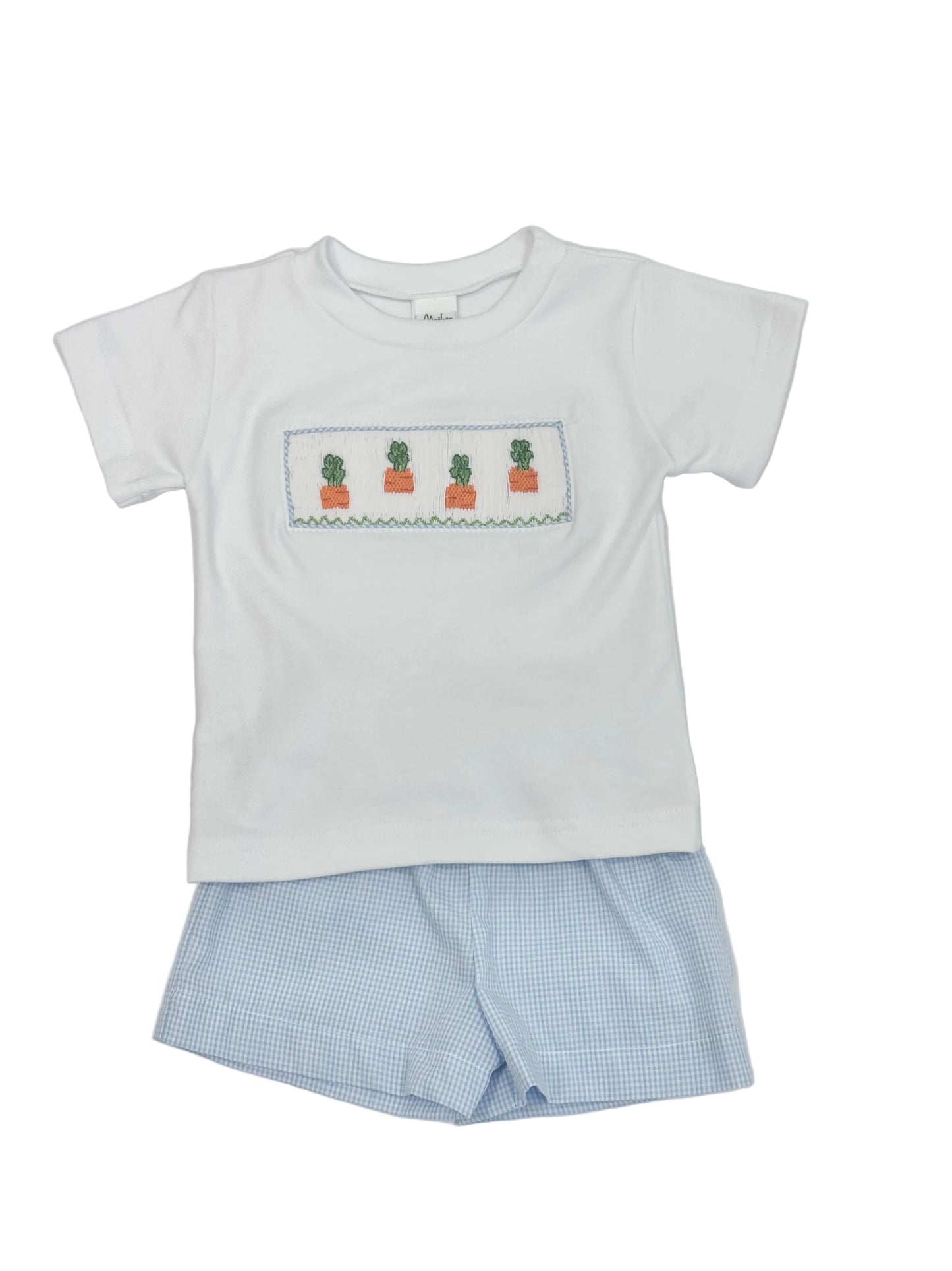 Light Blue Gingham Carrots Shorts Set