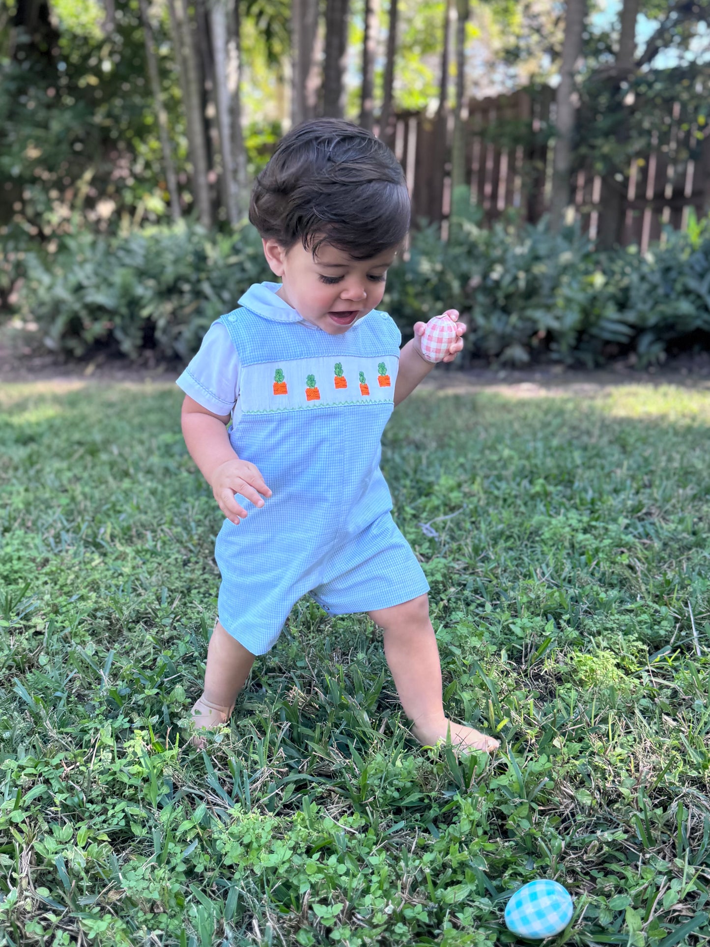 Blue Gingham Carrots Smocked Overall