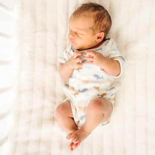 Whale Tales Lap Bodysuit