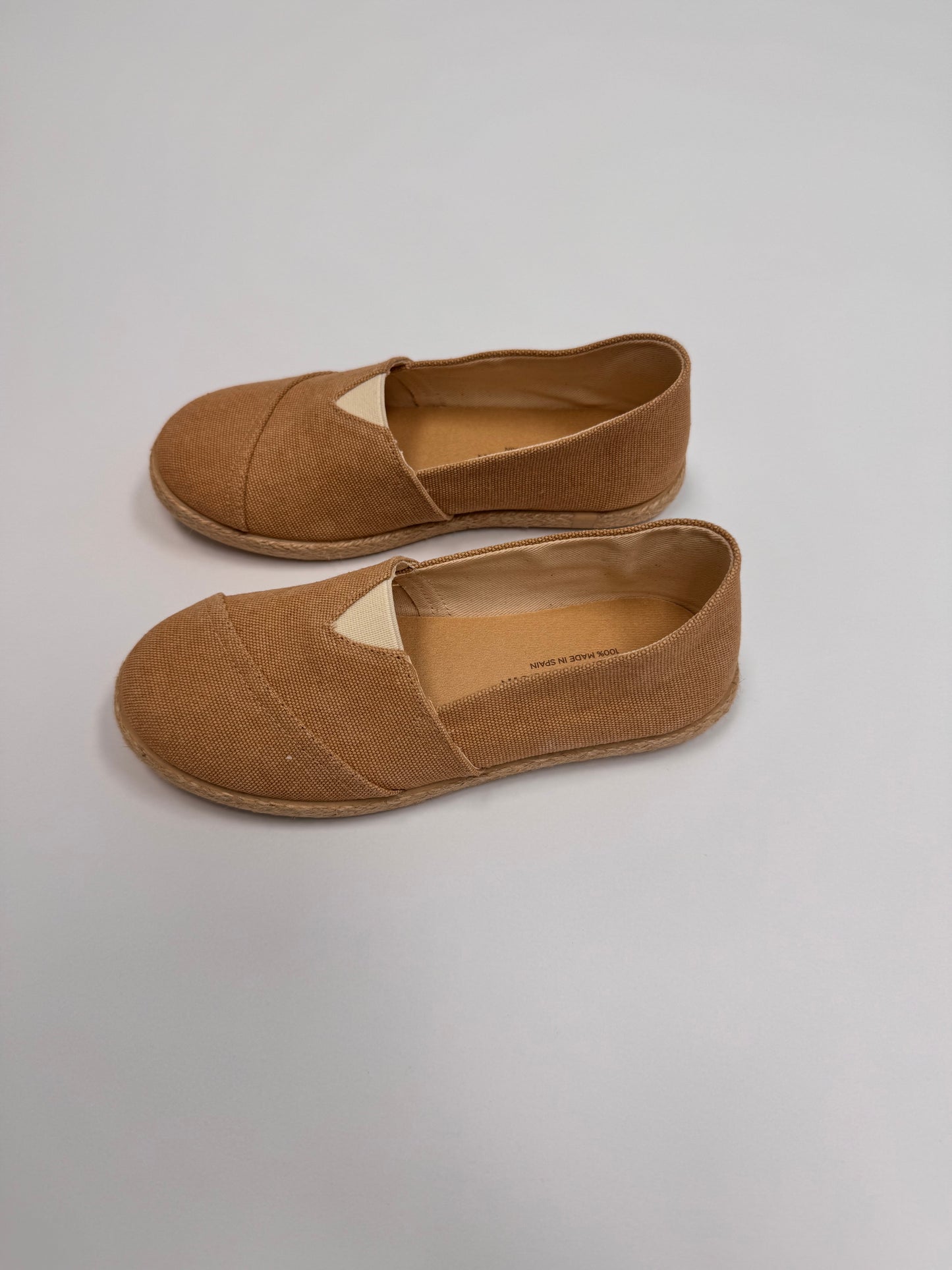 Arena Slip On Canvas Shoe