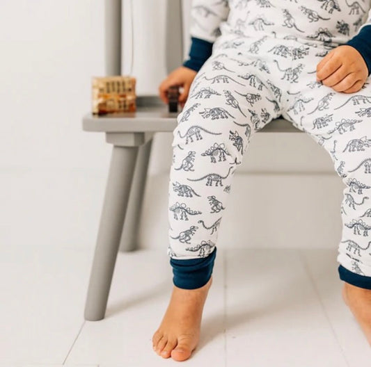Dino Digs Long Pajamas