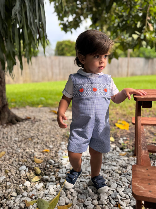 Gingham Pumpkin Patch Smocked Overall