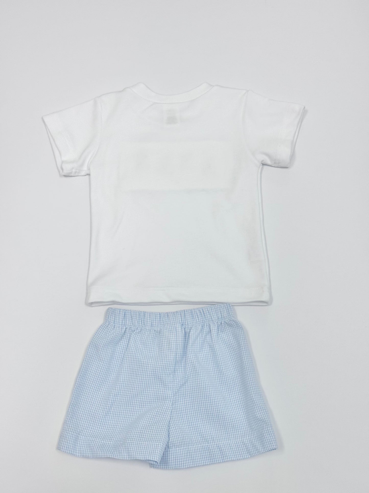 Light Blue Gingham Carrots Shorts Set