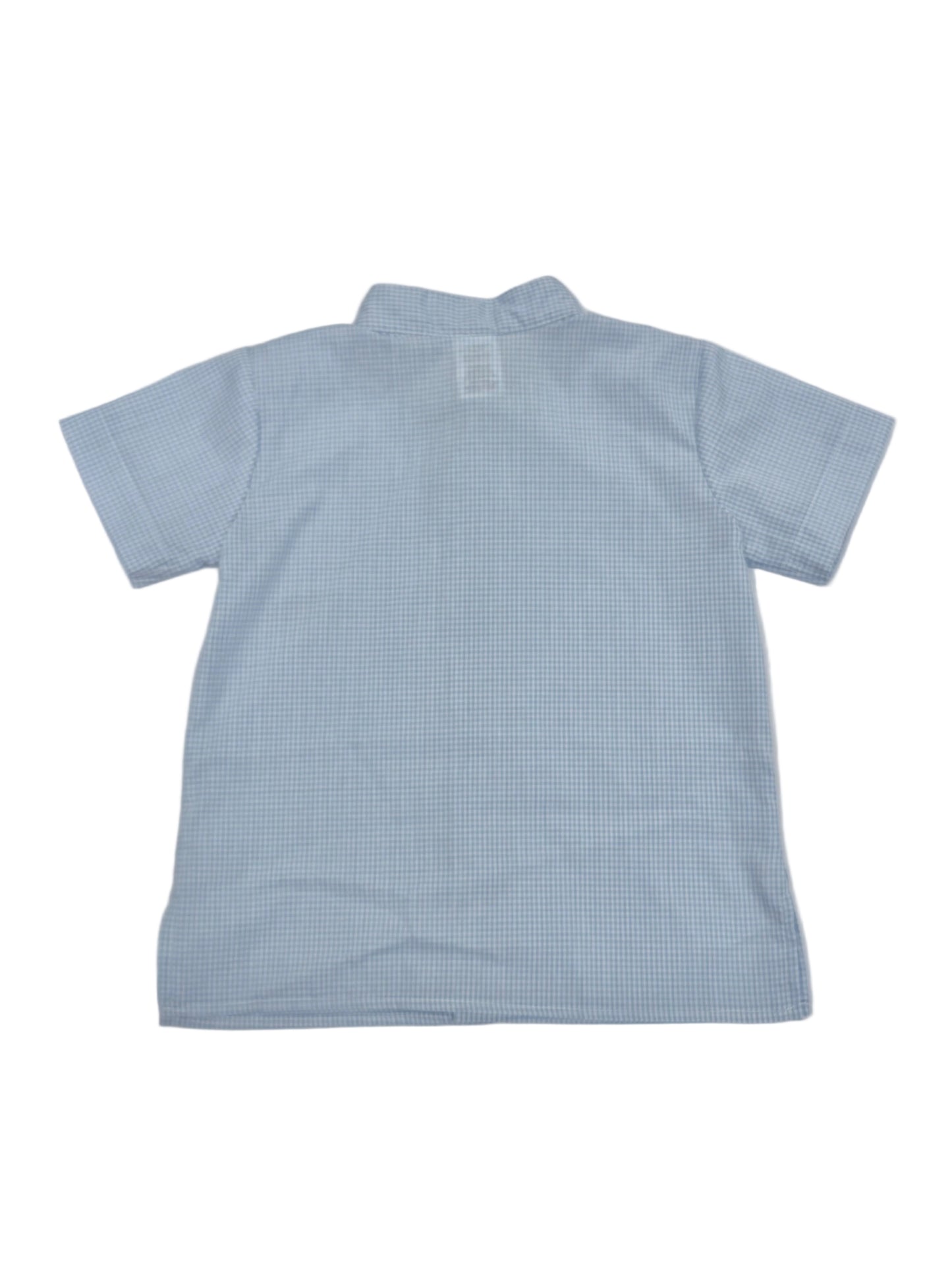 Light Blue Gingham Button Down