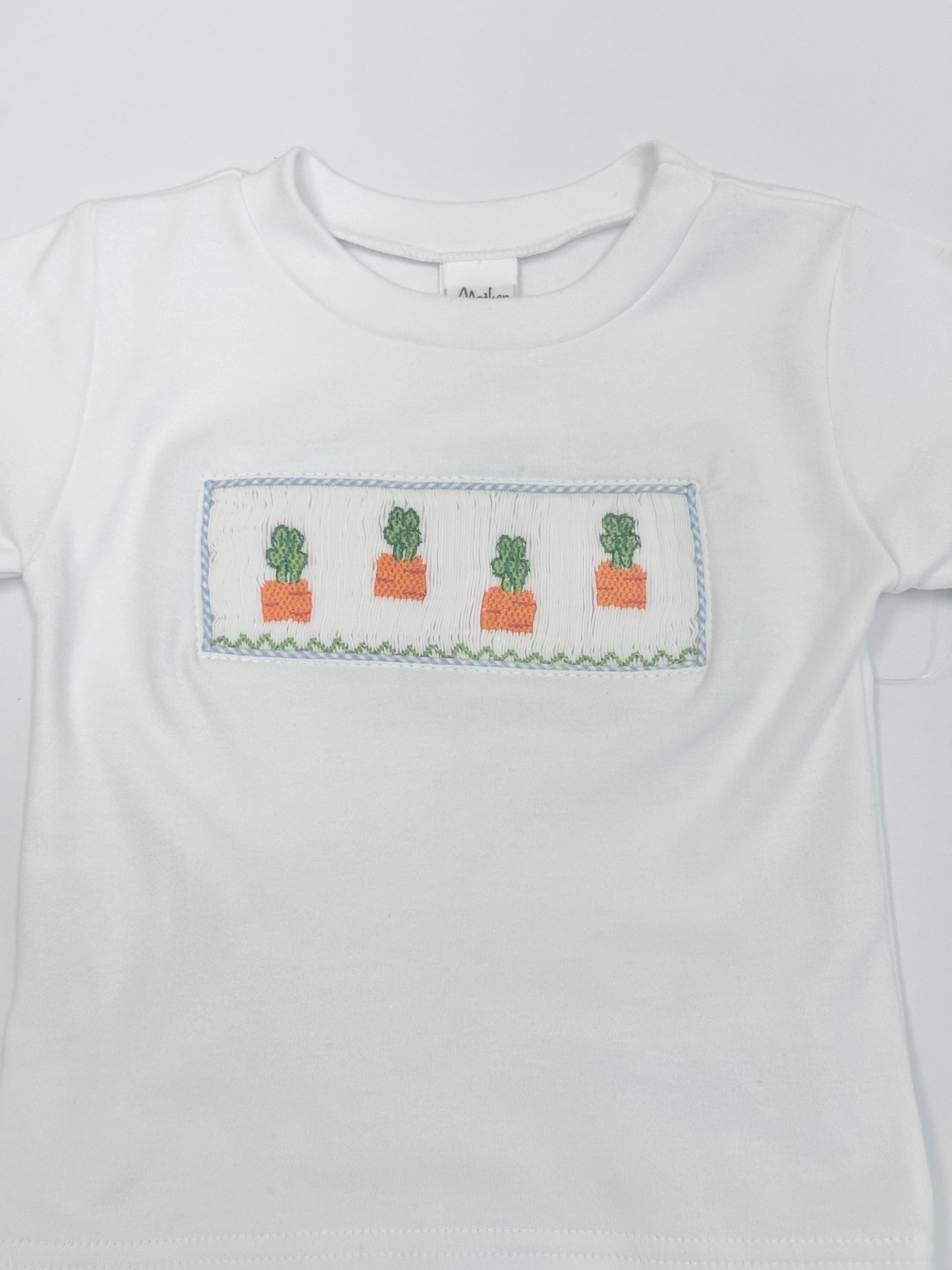 Light Blue Gingham Carrots Shorts Set