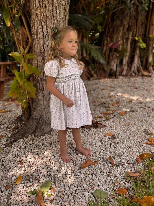 Wildfire Trellis Smocked Dress