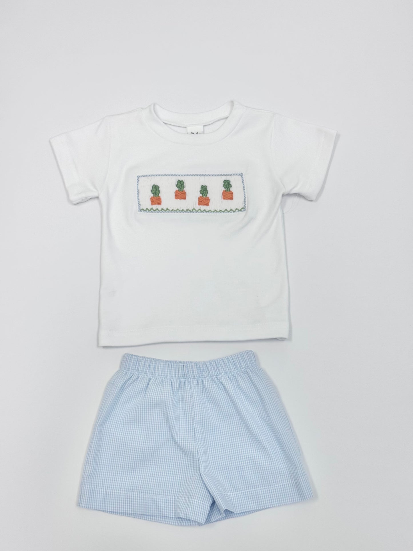 Light Blue Gingham Carrots Shorts Set