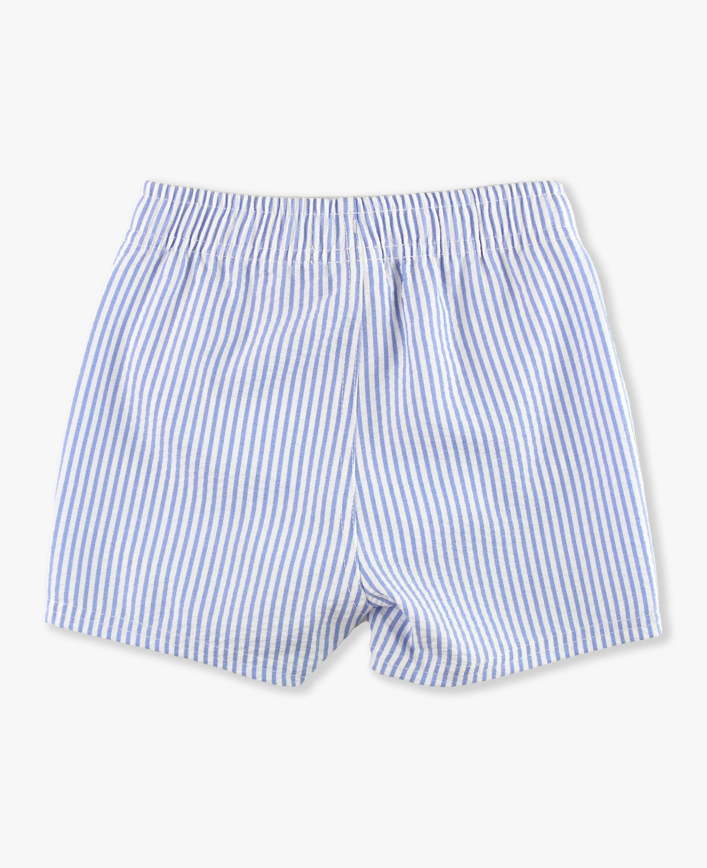 Periwnkle Blue Seersucker Swim Trunks
