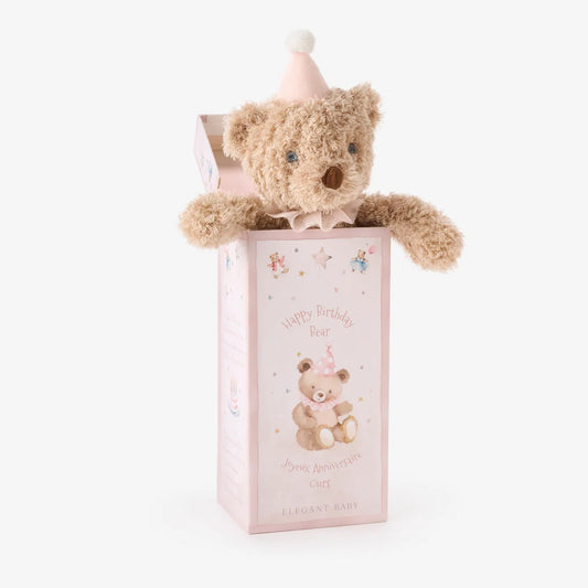 Pink Birthday Bear Plush Toy w/ Gift Box