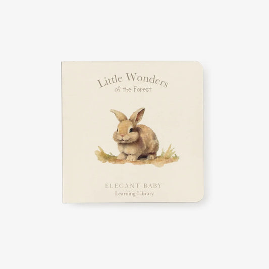 Little Wonders Forest Board Book