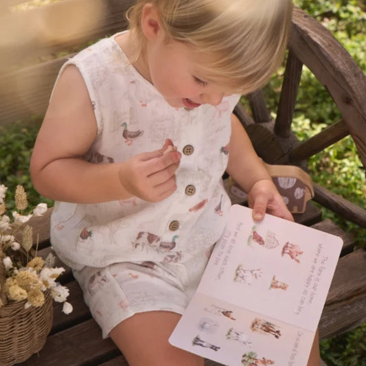 Little Friends On the Farm Board Book