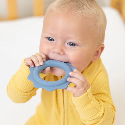 Lion Rattle Buddy